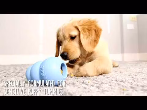 KONG Puppy
