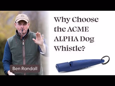 Acme Fløyte Alpha 210.5 Lilla