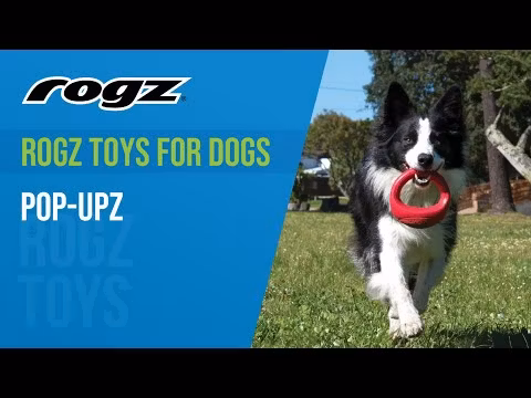 Rogz Pop-upz Rosa