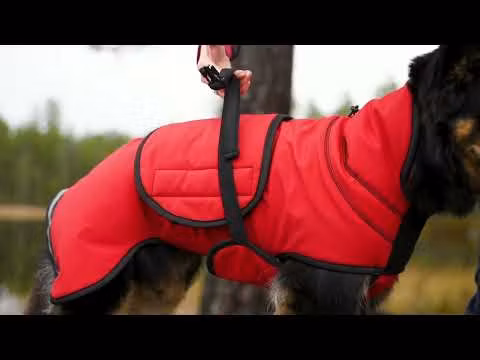 Canelana Thermo grønn-100% ull dekken hund softshell ytterstoff - Bestillingsvare!