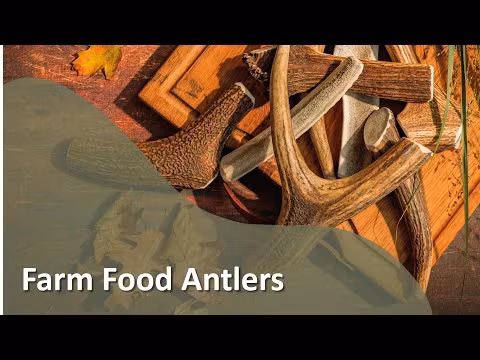 Farm Food Antlers Hjorte Gevir Tilbud 40%
