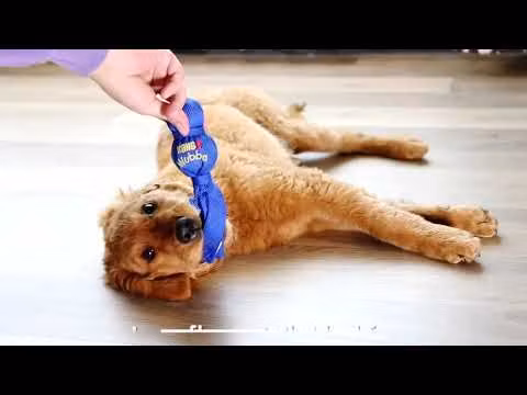 KONG Snugga Wubba S assorterte farger