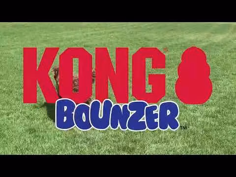 KONG Bounzer M + L