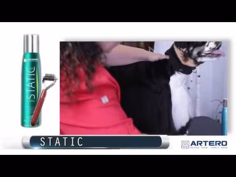 Static Control 150ml, Artero