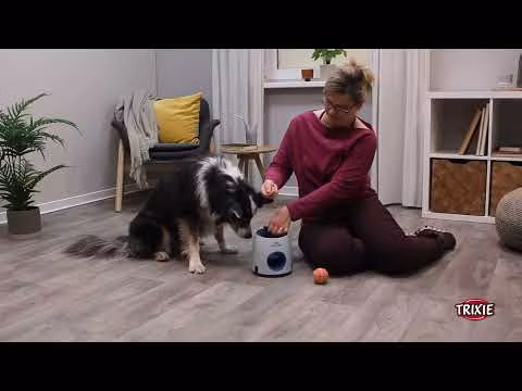 Dog Activity Ball & Treat Level 3