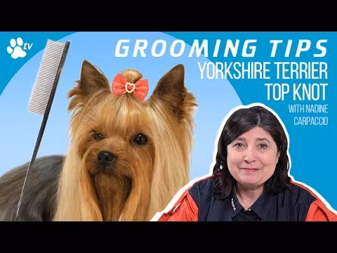 Yento 60-60 Pin Brush