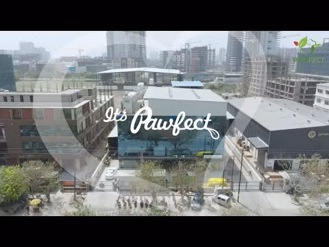 Himalayan Cheese Bone, medium, single Tilbud 50%