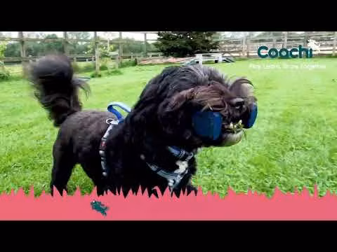Coachi Training Dumbbell - Nylonapport
