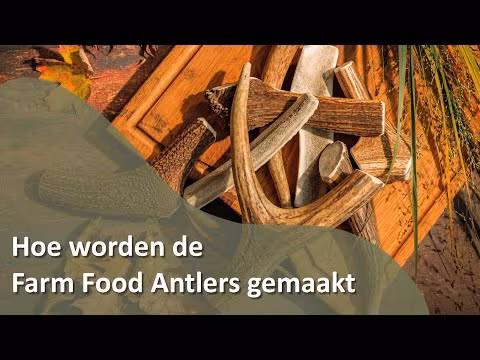 Farm Food Antlers Hjorte Gevir Easy