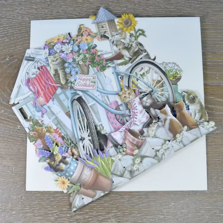 Kattungar vid cykeln (6 kort med kuvert)