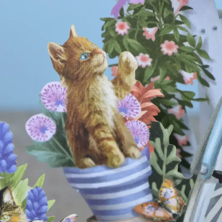 Kattungar vid cykeln (6 kort med kuvert)