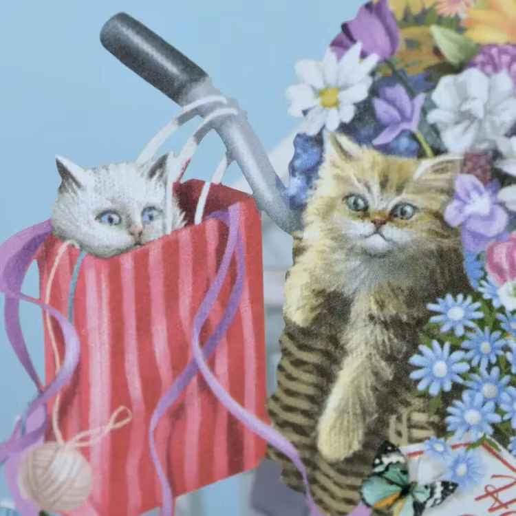 Kattungar vid cykeln (6 kort med kuvert)