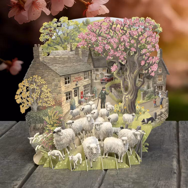 Magiska gratulationskort - Fåraherden (6 kort)