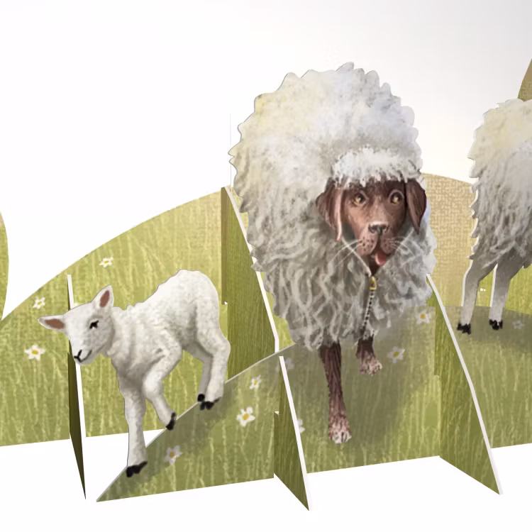 Magiska gratulationskort - Fåraherden (6 kort)