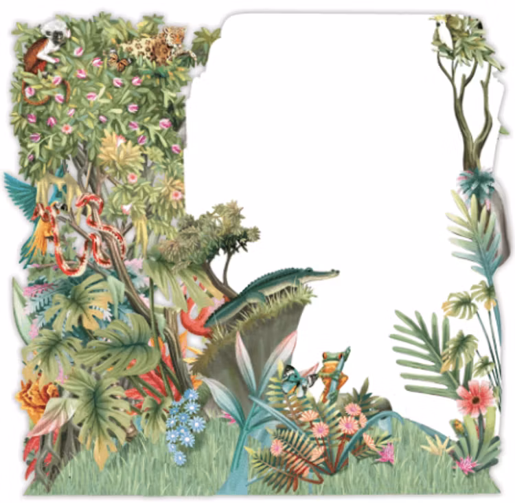 Magiskt, utvikbart gratulationskort - Djungelfest (6 stycken)