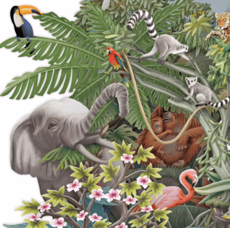 Magiskt, utvikbart gratulationskort - Djungelfest (6 stycken)