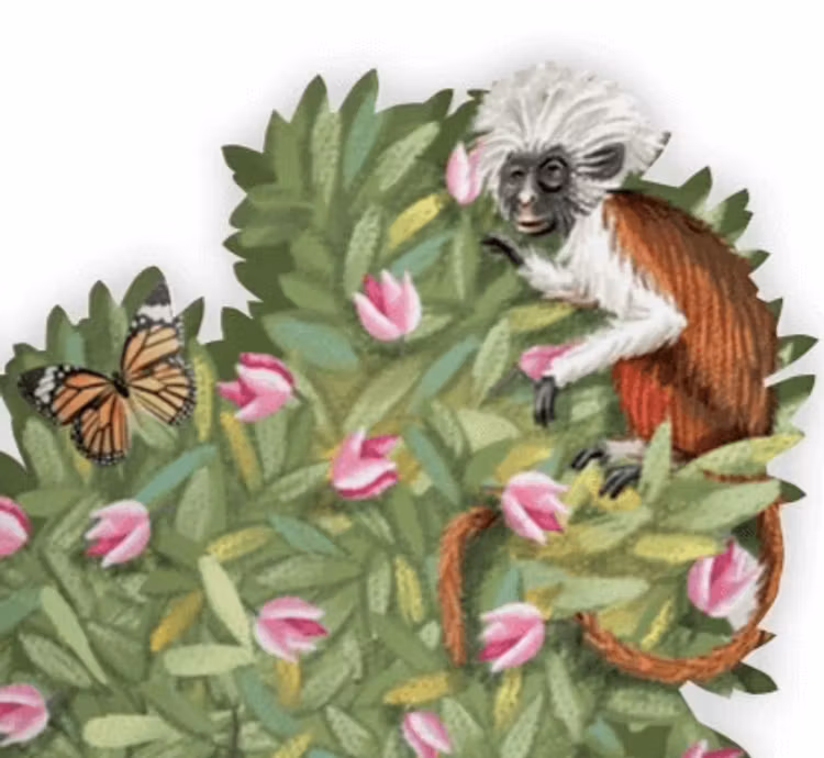 Magiskt, utvikbart gratulationskort - Djungelfest (6 stycken)