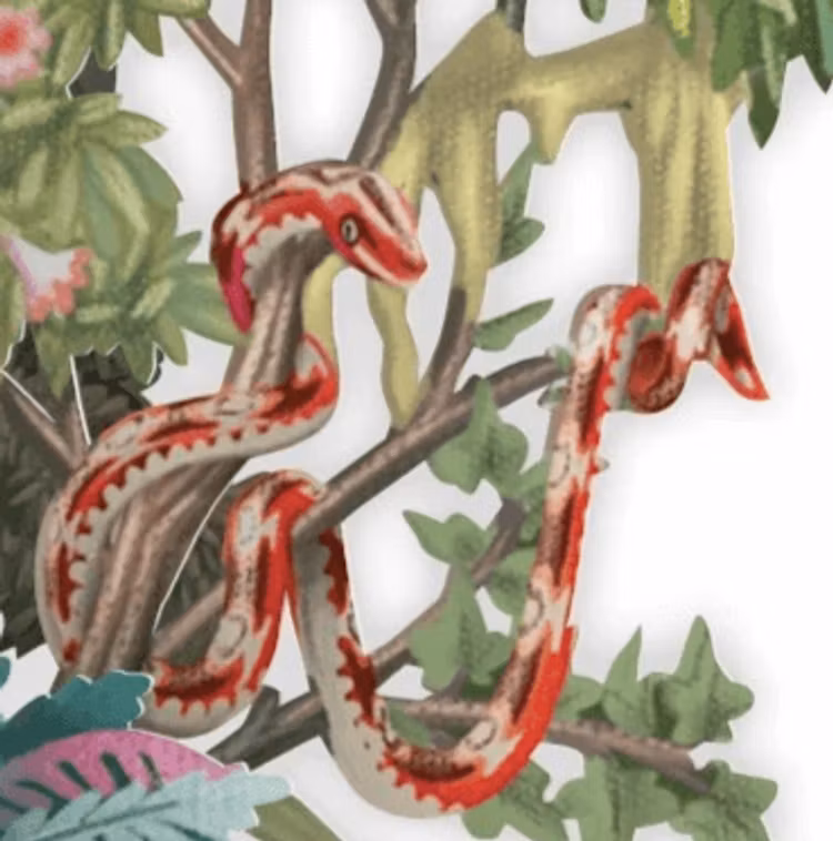 Magiskt, utvikbart gratulationskort - Djungelfest (6 stycken)