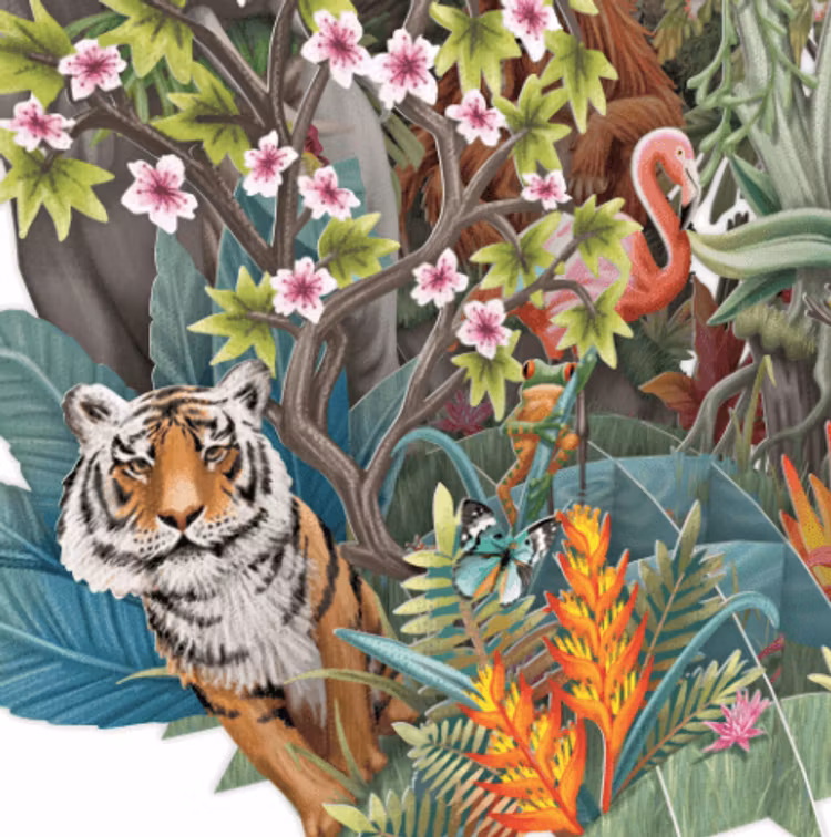 Magiskt, utvikbart gratulationskort - Djungelfest (6 stycken)