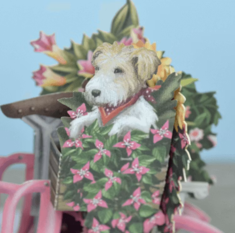 Blomstervagnen (6 kort med kuvert)