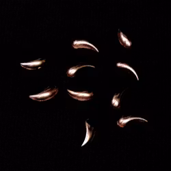 Pearl teardrops i påse, brun