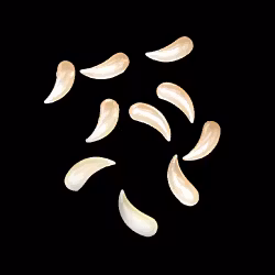 Pearl teardrops i påse, aprikos