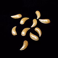 Pearl teardrops i påse, gul