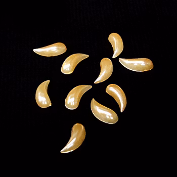 Pearl teardrops i påse, gul