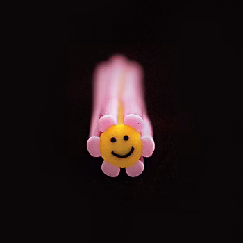 Fimostav, rosa blomma