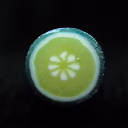Fimostav, lime
