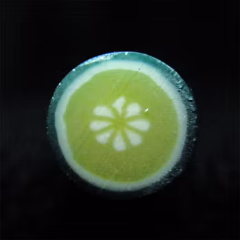 Fimostav, lime