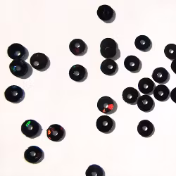 Black Collection, cirklar