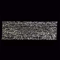 Nailart nät, guld och vitt