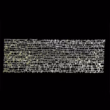 Nailart nät, guld och vitt