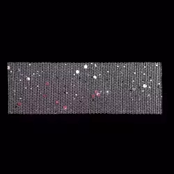 Nailart nät, rosa och vitt