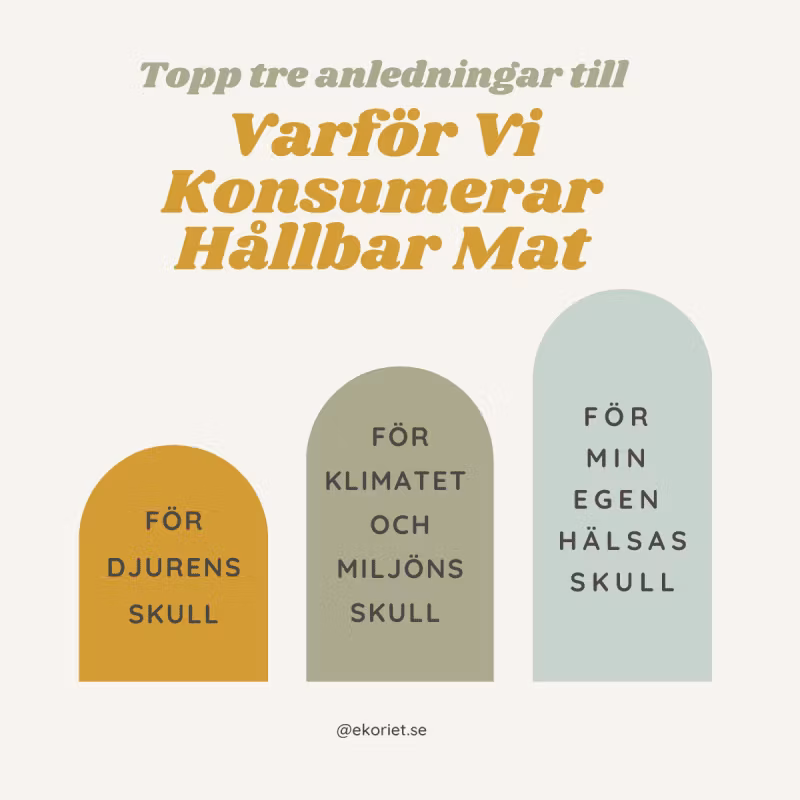 Hållbar konsument