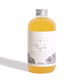 Schampo Björk - Citrus Ceder Ekologiskt