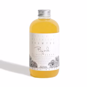 Schampo Björk - Citrus Ceder Ekologiskt