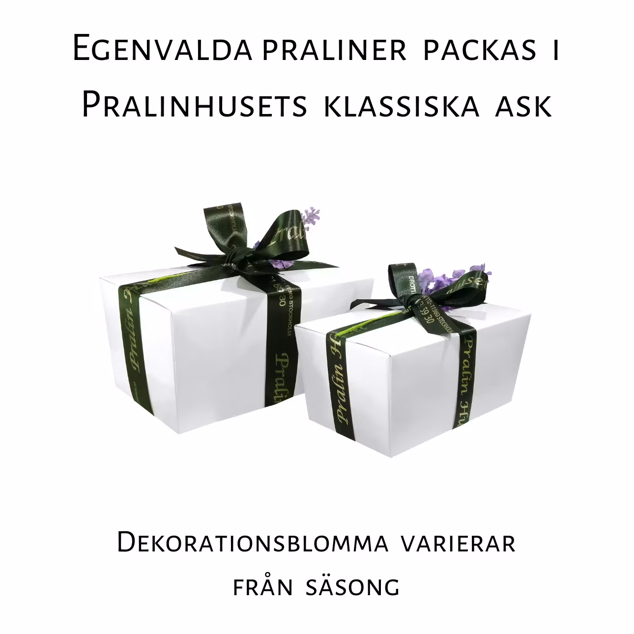 Pralin & Tryffel - Walter - Marsipan & Mörk Choklad