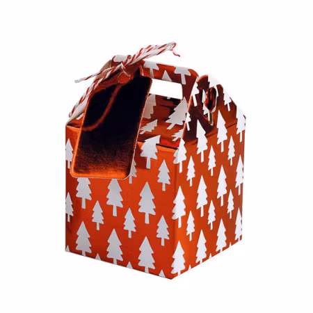 Pralinhuset - Julask - Paket - Salt Karamell & Jordgubb