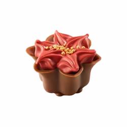 Julpralin - Julstjärna - Hasselnötspralin