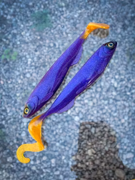 S-Tail & S-Shad Paket