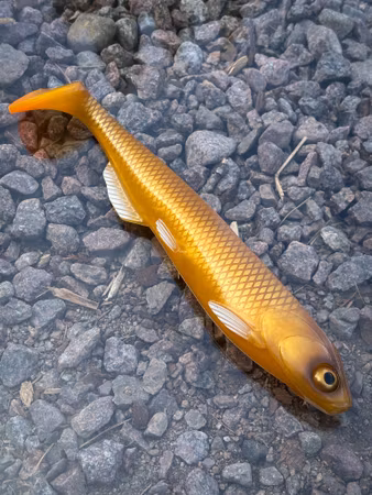 SOUTHSTREAM SHAD - Hot Honey