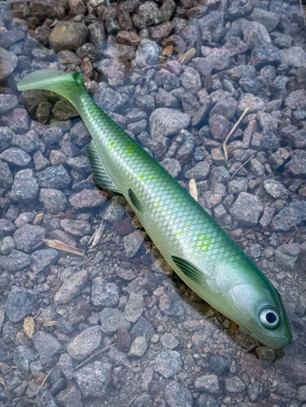 SOUTHSTREAM SHAD - Gamma Leaf