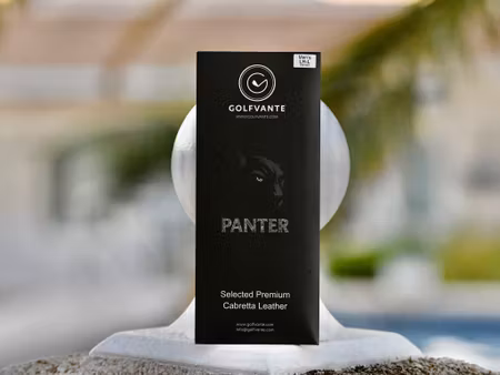 ELECTRO PANTER - DAM