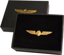 Pilot Vingar Medium Guld
