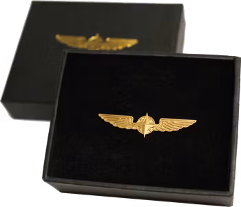 Pilot Vingar Medium Guld