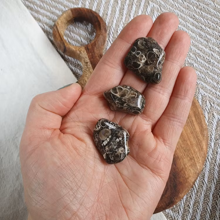 Trumlad Turitella Agat 5-9 g XS