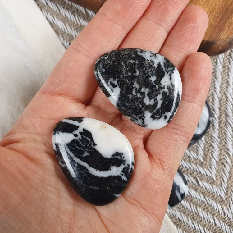 Handsten av Zebra Jaspis