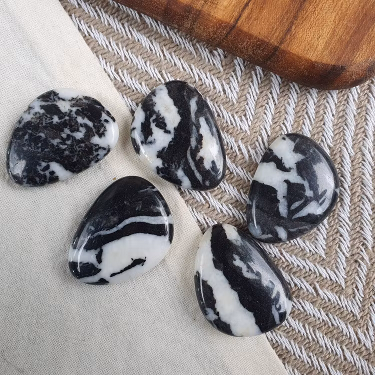 Handsten av Zebra Jaspis